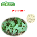 Wild-Yam-Extrakt Pulver Diosgenin